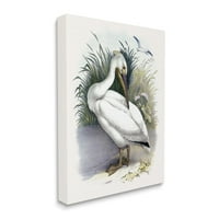 СТУПЕЛ ИНДУСТРИИ Бела пеликанска птици кои прегази трева галерија за сликање на брегот на брегот на брегот завиткани од платно,