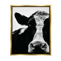 Stuple Industries крава црно -бело затворено метално злато врамено лебдечко платно wallидна уметност, 16x20