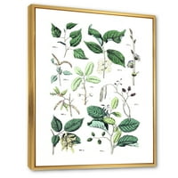 DesignArt 'Антички ботаники viii' Традиционално врамено платно wallидно печатење
